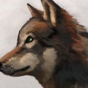 Meet your Posher, Jack